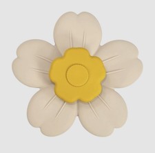 Baby Teether Toy Suction