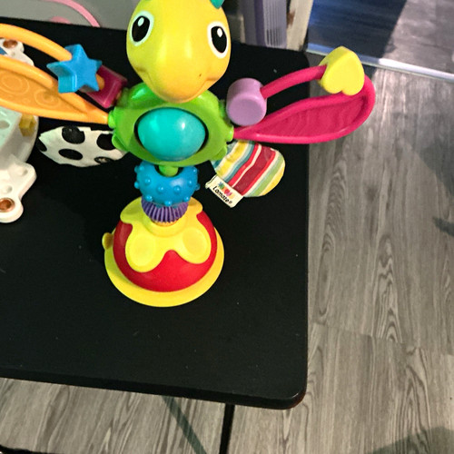 Multicolour bird themed - multicolour, bird-themed